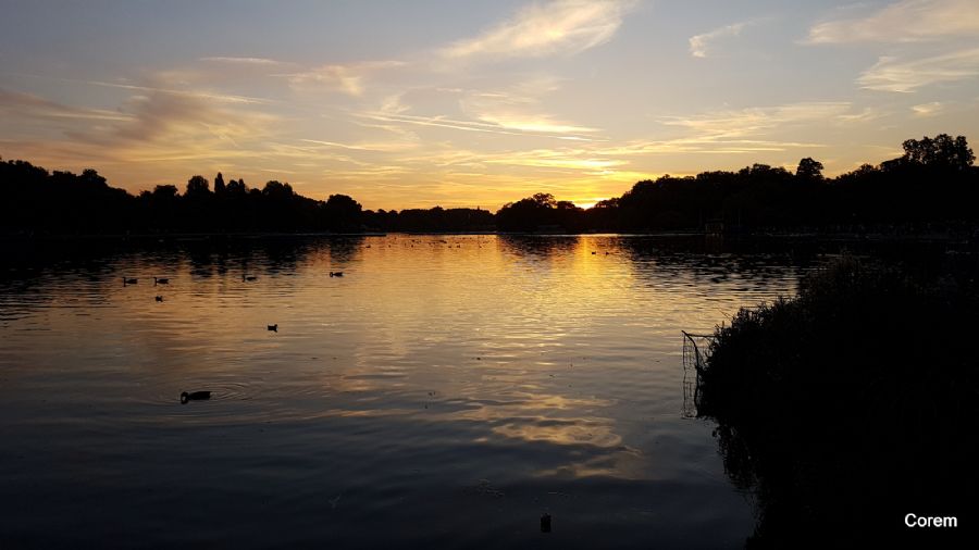 שקיעה בהייד פארק